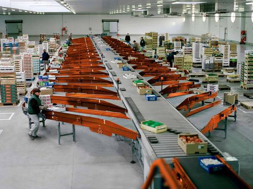 Sistema de classificação e distribuição para logística - XDOCK - VANDERLANDE - automático / para encomendas / para movimentação