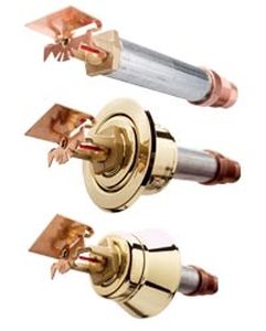 Sprinkler seco - DS series - Tyco