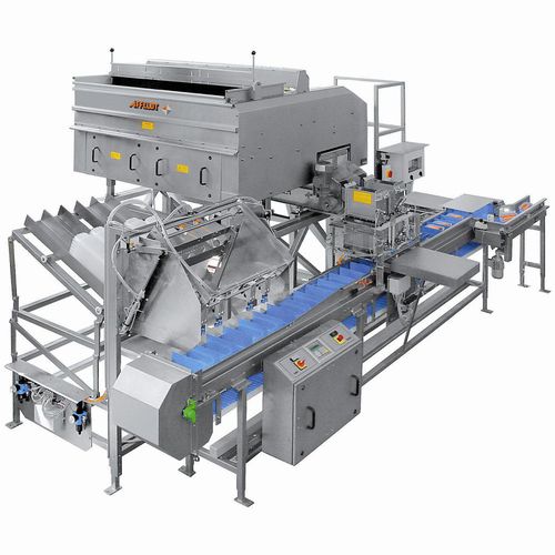 Máquina de pesagem contínua - AVN 112-CW 12EV-K - Affeldt Maschinenbau GmbH - para a indústria alimentícia / com alimentador vibratório / em aço inoxidável