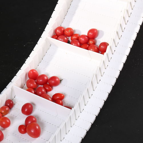 Correia transportadora modular - HS-700A-N 27.2mm pitch - Huanan Xinhai (Shenzhen) Technology Co.,Ltd. - em POM / em PP / em PA