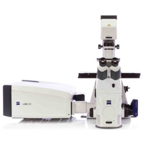 Sistema de imagem - Airyscan - Hitech Instruments