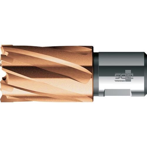Broca anular de carboneto - HKK-P - BDS Maschinen GmbH - Germany - Weldon