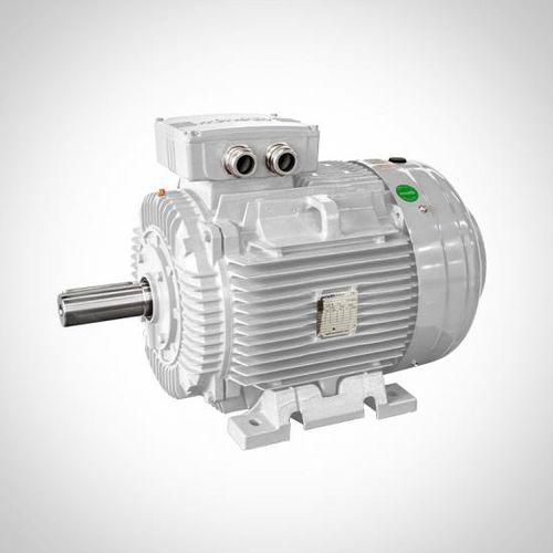 Motor assíncrono - WE series - Fuzhou Wonder Electric Co.,Ltd. - trifásico / 400 V / em ferro fundido