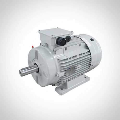 Motor síncrono - WSR Series - Fuzhou Wonder Electric Co.,Ltd. - CA / 400 V / IP55
