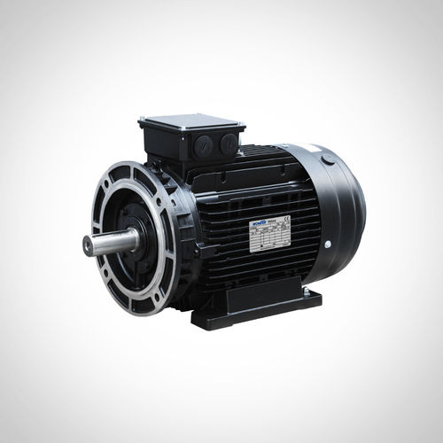 Motor de indução - SSWEA132M-4-7.5KW - Fuzhou Wonder Electric Co.,Ltd. - CA / IP55 / IE4