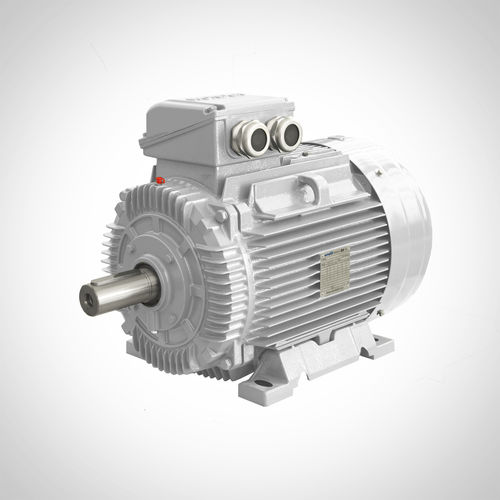Motor de indução - SWE-180L4-22KW - Fuzhou Wonder Electric Co.,Ltd. - CA / compacto / IE3