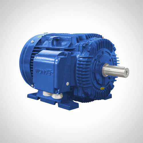 Motor de indução - NT444T1-6-D-75HP - Fuzhou Wonder Electric Co.,Ltd. - CA / em ferro fundido / TEFC (fechado autoventilado)