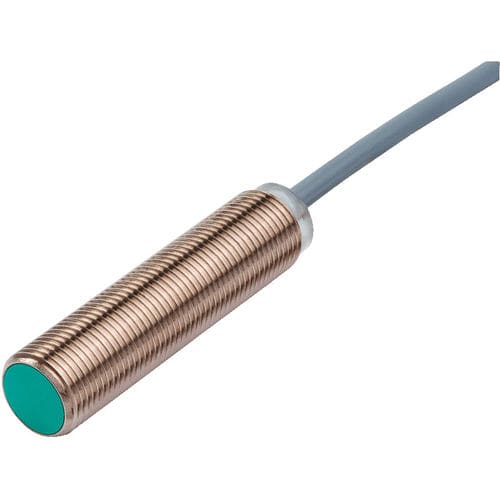 Interruptor de proximidade indutivo - Pepperl+Fuchs SE - cilíndrico / de longo alcance