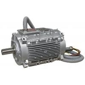 Motor para sistema de extração de fumaça e de calor - LSHT/FLSHT - LEROY-SOMER - de indução / trifásico / 690 V