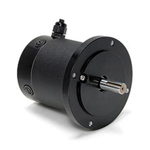 Motor com escovas - DPP701 - Electrocraft - CC / 24 V / 48 V