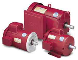 Motor síncrono - 0.33 - 10 hp - LEESON Electric - CC / de alto torque