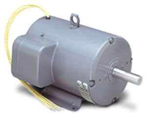 Motor assíncrono - LEESON Electric - CA / trifásico / 220 V