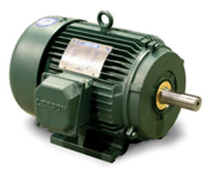 Motor assíncrono - LEESON Electric - CA / trifásico / 60 V