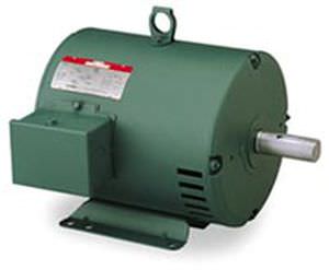 Motor assíncrono - Wattsaver® - LEESON Electric - CA / trifásico / trifásico