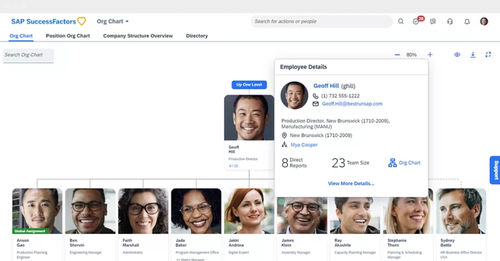 Software de gestão do tempo - SuccessFactors Employee Central - SAP - de gestão de ausências / de automação / de planejamento