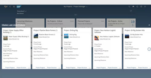 Software de análise - Enterprise Portfolio and Project Management - SAP - de criação de laudos / de planejamento / de otimização