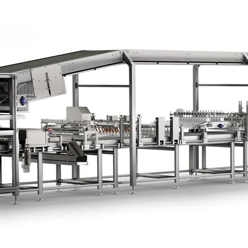 Linha de produção de bolos automática - Gorreri S.r.l.
