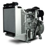 motor a diesel