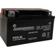 bateria AGM / monobloco / 12 V / de elevado desempenho
