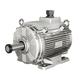 motor assíncrono / trifásico / com carcaça em ferro / IP55