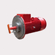 motor assíncrono / 380 V / 660 V / para áreas perigosas
